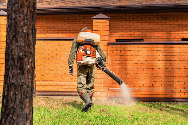 Trusted Termite Control service in Indian Mountain Lake, PA - Nex Pest Control